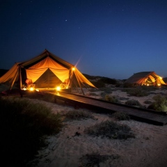 Sal-SalisNingaloo-ReefBy-Night_2.jpg