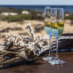 Sal-SalisNingaloo-ReefGlasses_2.jpg