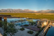 Herzlich Willkommen im The Vines Resort & Spa